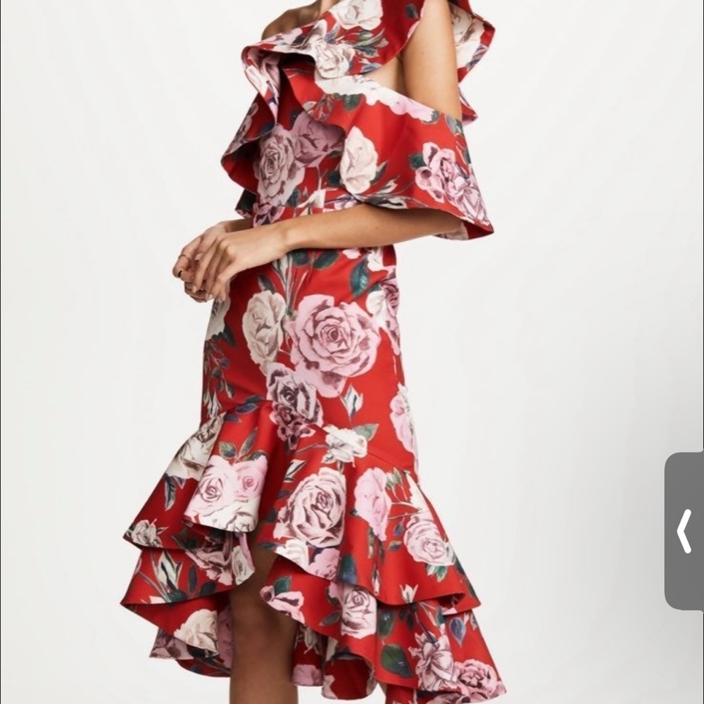 Fame and Partners Natasha Dress